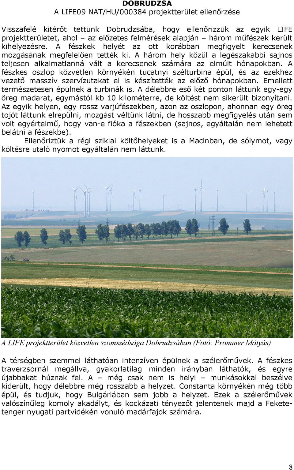 A három hely közül a legészakabbi sajnos teljesen alkalmatlanná vált a kerecsenek számára az elmúlt hónapokban.
