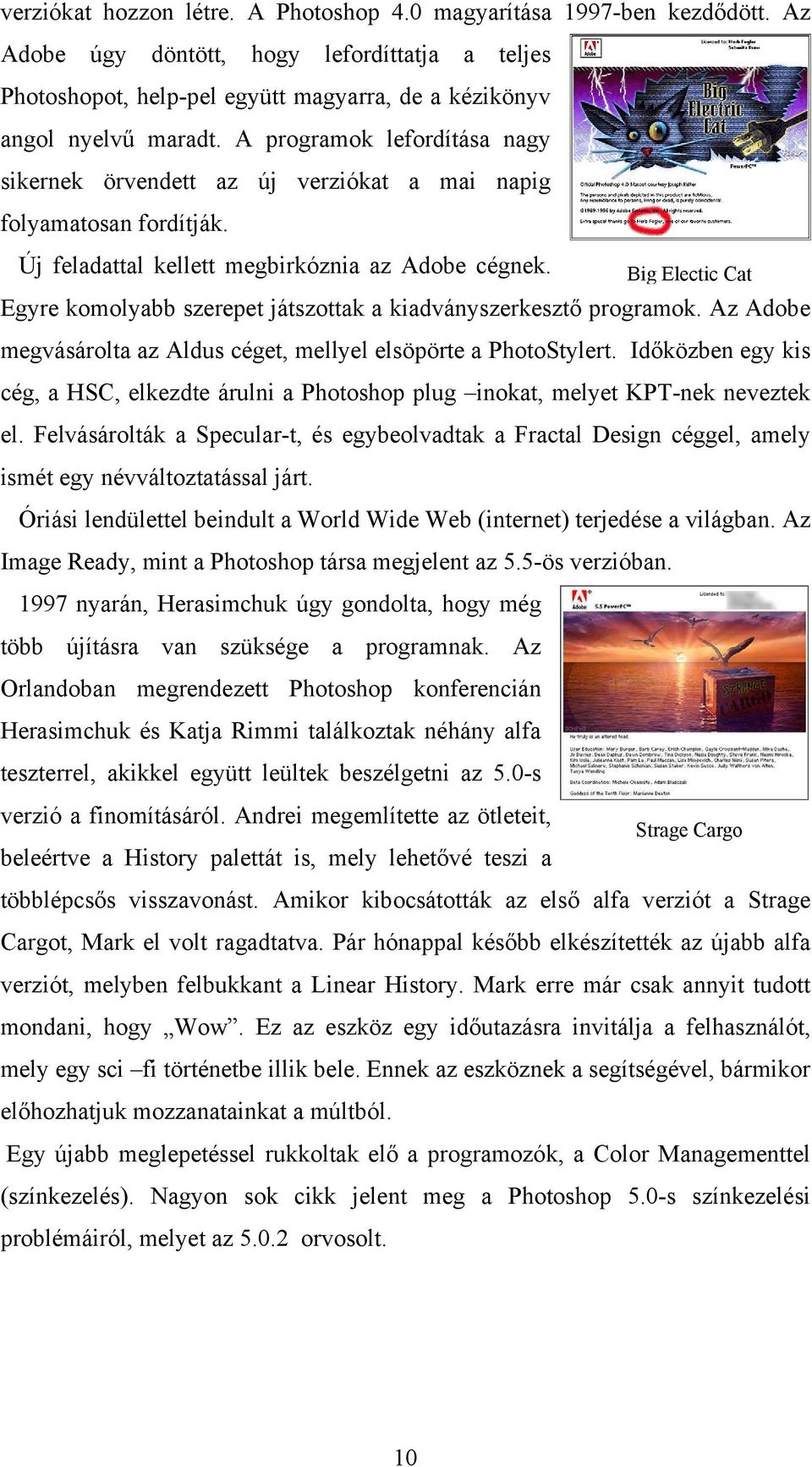 Big Electic Cat Egyre komolyabb szerepet játszottak a kiadványszerkesztő programok. Az Adobe megvásárolta az Aldus céget, mellyel elsöpörte a PhotoStylert.