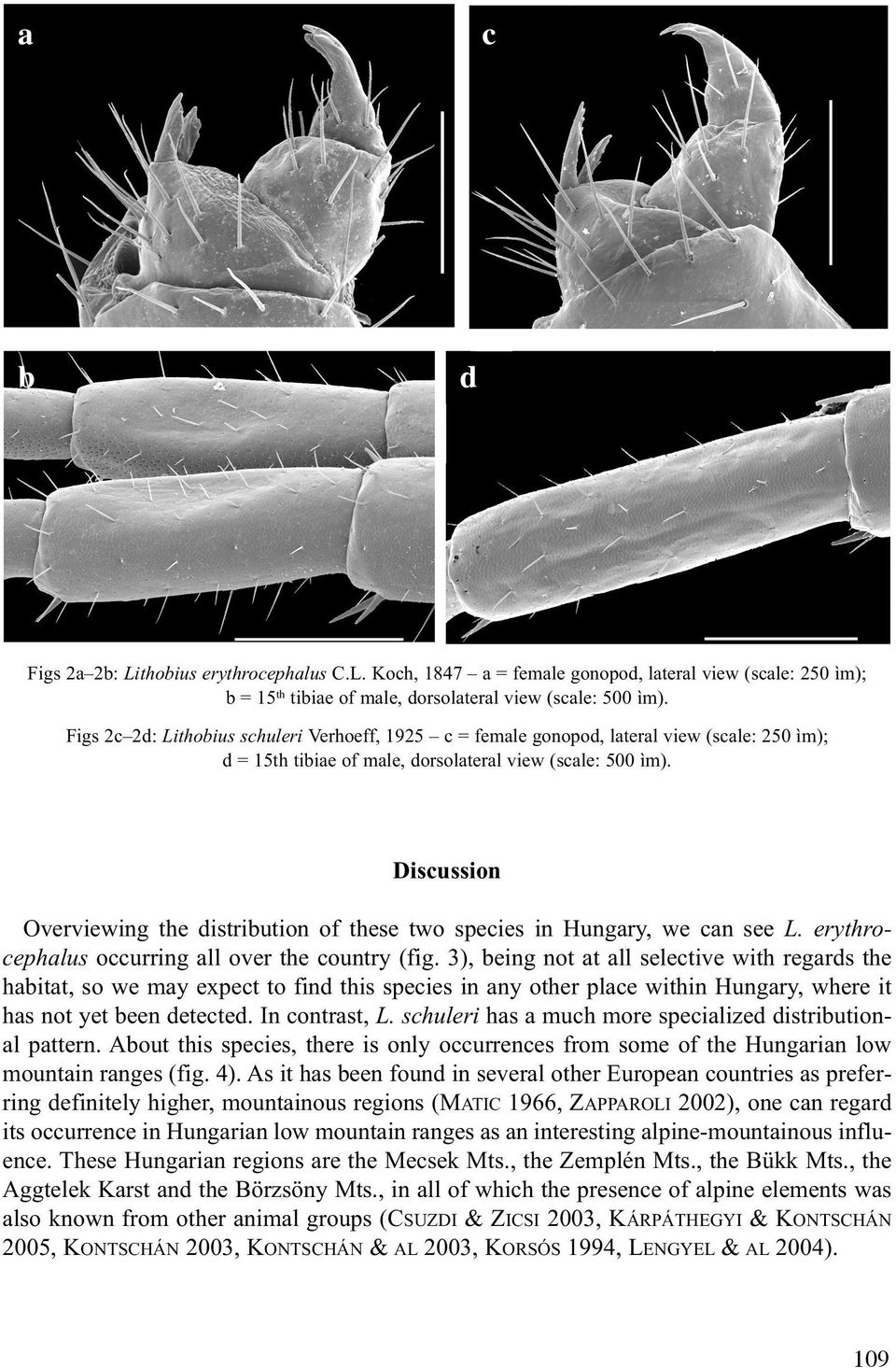 Discussion Overviewing the distribution of these two species in Hungary, we can see L. erythrocephalus occurring all over the country (fig.