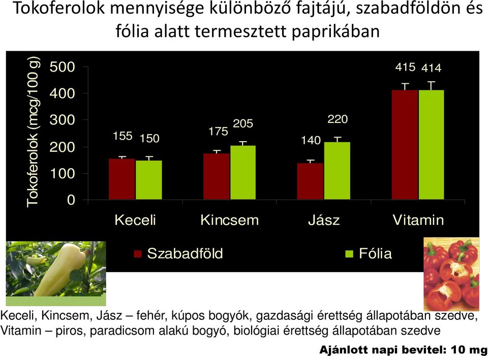 Vitamin Szabadföld Fólia Keceli, Kincsem, Jász fehér, kúpos bogyók, gazdasági érettség állapotában