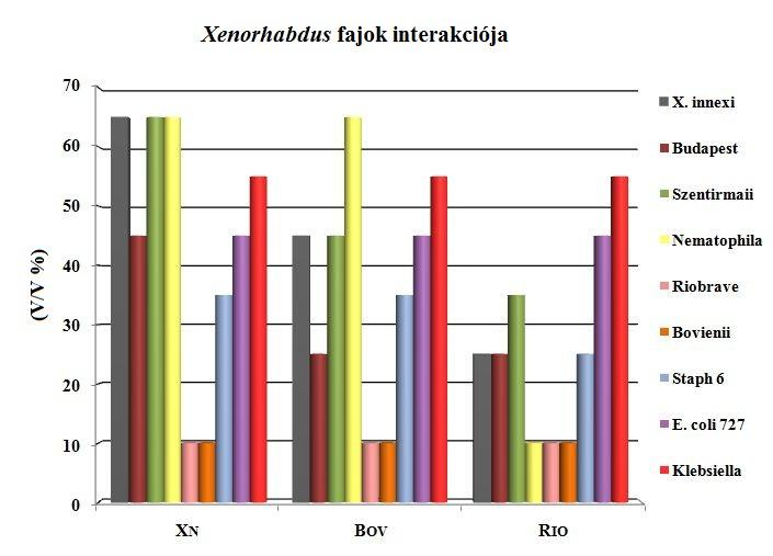X. szentirmaii erős antibiotikumos hatást fejtett ki a kísérletekben Fusarium gramineae-ra, mely jelentős mezőgazdasági károkat okoz. (Fodor, személyes közlés). 32. ábra: X.