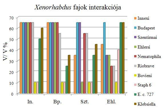 anyagaira, addig ugyanez a törzs mutatta a legerősebb anti-xenorhabdus aktivitást is. 34. ábra: Xenorhabdus fajok interakciója A 34. ábrán a X. budapestensis, X. ehlersii, X. szentirmaii, X.