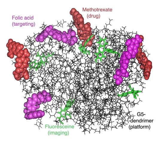 dendrimer molekulák csatlakoznak. A csatlakozó dendrimerek mindegyike különböző, és így létrejön egy ötletes terápiás nanoeszközök azáltal, hogy különböző funkciókat képesek ellátni.