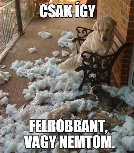 Köszönöm a figyelmet! Felhasznált források: http://portal.nebih.gov.hu/-/megdobbento-korulmenyek-kozott-keszult-a-kistermeloi-fustolt-aru http://xvmedia.