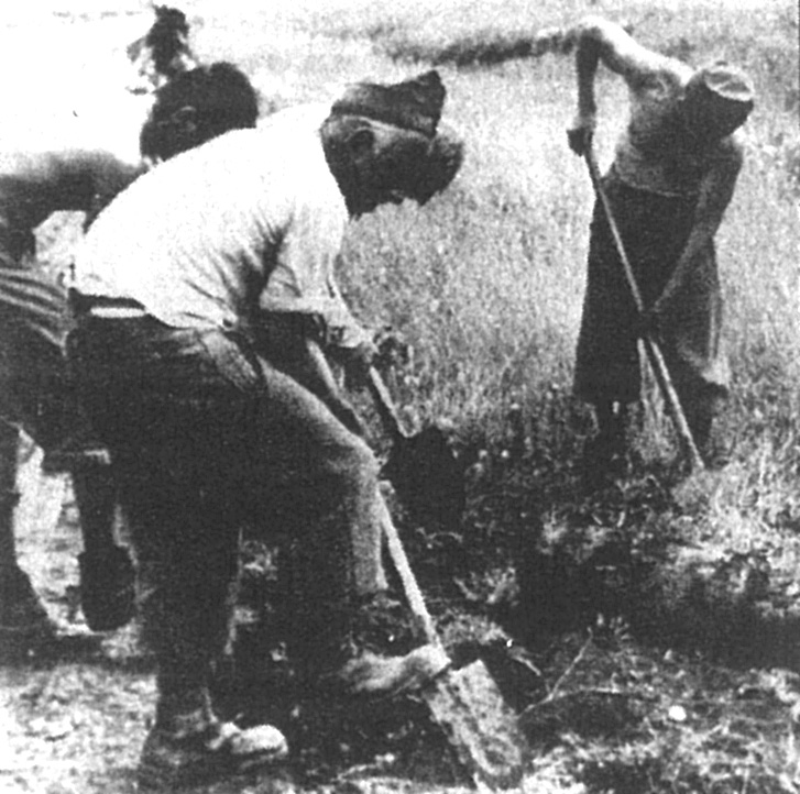 Deportálás Gyerekek Auschwitzban Szálasi és a