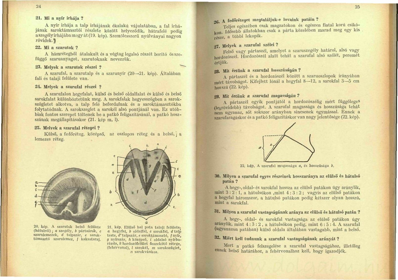 hogyan vékonyítsuk meg az arc csontjait?