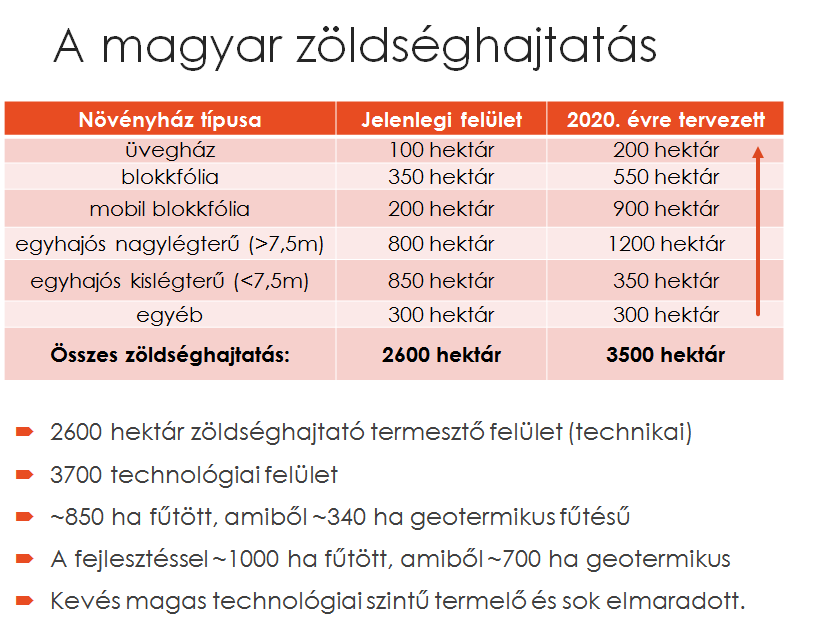 Szabadföldi zöldségtermesztés kb. 75-80 ezer ha de ebből 50-55 e. a hárm nagymagvú zöldségnövény és 25 e.