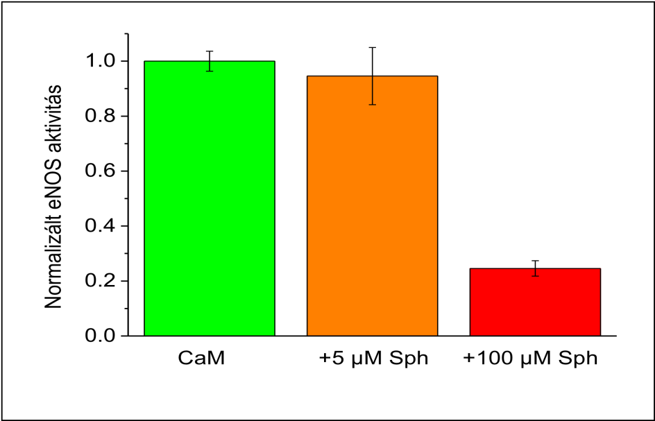 A szfingozin gátolja az enos aktivitását in vitro Az enos enzimet növekvő koncentrációjú kalmodulinnal aktiváltuk. 100 mm szfingozin mindegyik koncentrációban gátlást fejt ki.