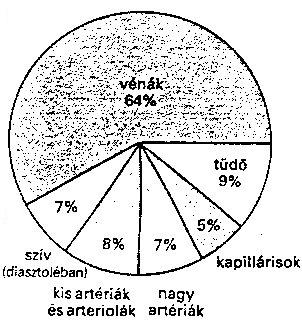 15./17 Somogyi Magdolna izompumpa és vénás billentyűk együttműködése 1. izompumpa az izmok kívülről összenyomják a flexibilis falú vénákat csak fázisos kontrakciók esetén jelentős 2.