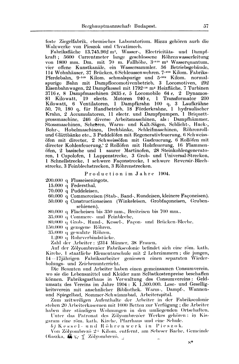 Be rgh au p tin annschaf f Buda pest. 57 feste Ziegelfabrik, chemisches Laboratorium. Hiezu geboren aurh die Walzwerke von Pieszok und Chvatimeeh. Fabriksfläche 13.745.