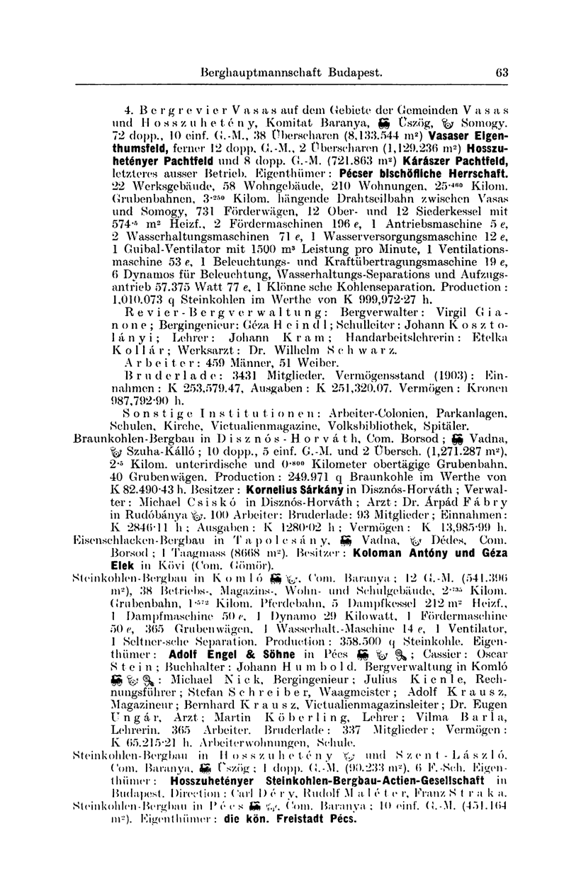 Berghau ptmannschaft Budapest. 63 4. B e r g r e v i e r V a s a s auf dem Gebiete der Gemeinden Vasas und II o s s z u h e t é n y, Kom itat Baranya, Üszög, Somogy. 72 dopp., 10 einf. G.-M.