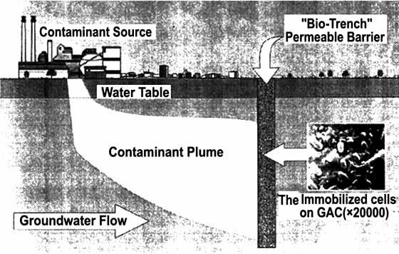 1.2 Szennyezett felszín alatti víz kármentesítése IMT-vel kombinált PRB-vel A szennyezett felszín alatti víz esetében permeábilis reaktív résfalat (PRB) fogok alkalmazni.