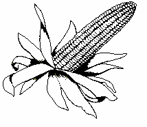 FAO Dekalb kukorica hibridek DKC3705 280 50 000 32 300 646 DKC5542 (siló) (II.kat) 530 50 000 15 500 310 Rovarölıszeres csávázás: Poncho FS 600 (Poncho Pro) (1,25 mg/mag) 8 523 Ft/zsák + ÁFA (02.