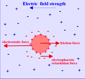 Elektrokinetikus potenciál meghatározása F F v u el F fric el = QE = = F