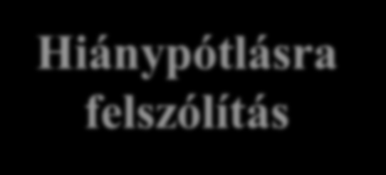 Az első fokú (alap) eljárás főbb szakaszai 1. Eljárás megindítása 2. Kérelem vizsgálata 3.