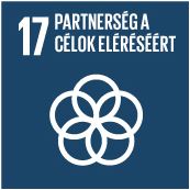 17. cél: A végrehajtás eszközeinek erősítése és a globális partnerség újjáélesztése a fenntartható fejlődés érdekében Pénzügyek 17.