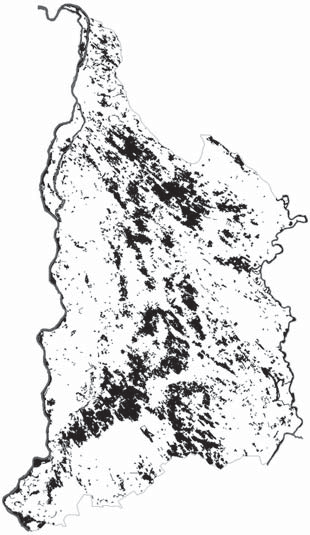 Száraz homoki élőhelyek a Duna Tisza közén a 18. századtól napjainkig 391 viszonylag nagy kiterjedésben voltak erdőfoltok, számottevő méretű és faállományú zártabb erdők, főleg homoki tölgyesek (3.