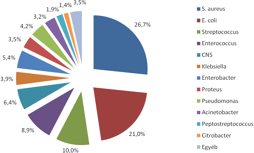 30 Epinfo Sebfertőzések megoszlása műtéti típus szerint, 2010. S.1. sz. ábra Sebfertőzések kórokozói, 2004-2010.