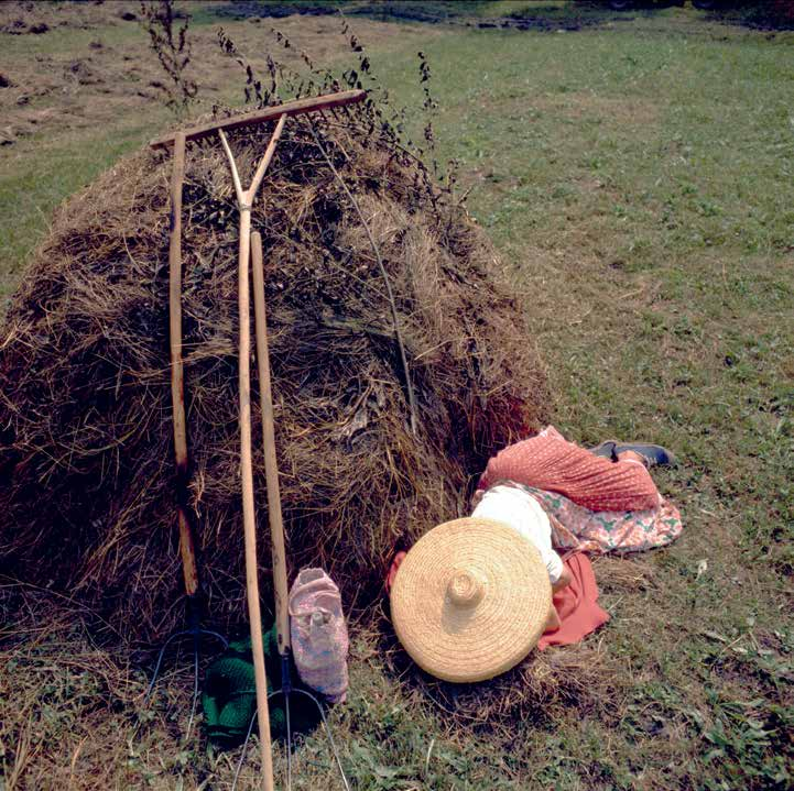 Pihenő