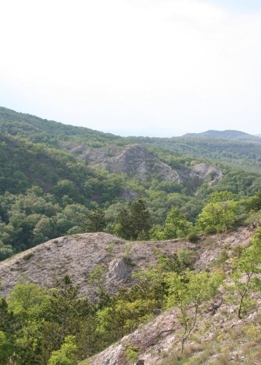 Országos jelentőségű védett természeti területek Nemzeti park Az 1996. évi LIII. tv. alapján Egyedi jogszabállyal védett természeti területek Természeti övezet A nemzeti park legértékesebb része.