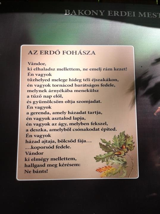 Délután a helyi állatkertbe kísértek el bennünket, ahol nagyon sok érdekességet láttunk és olvastunk. A Veszprémi állatkertet 1958 agusztusában nyitották meg a nagyközönség előtt.