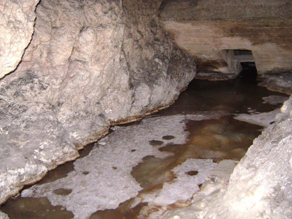 Mikrobák szerepe Barlangképződésben Vasoxi-hidroxid képződésében: a vas-oxihidroxid adszorpciós képessége