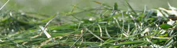 GRASS-MANAGER GRASS-MANAGER-PRO GRASS-MANAGER alapgép felszerelése Wunschausrüstung Grundgerät GRASS-MANAGER Stabil profilcsőváz Edzett csuklós csapok és csúszó perselyekkel vannak ellátva 7 mm Ø,