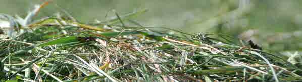 GRASS-MANAGER GRASS-MANAGER-PRO GRASS-MANAGER-PRO alapgép felszerelése Stabil profilcsőváz Edzett kopóperselyekkel ellátott alsó és felső vonókarok Háromszög alakú, rugós, nehéz, a támkerekek előtt