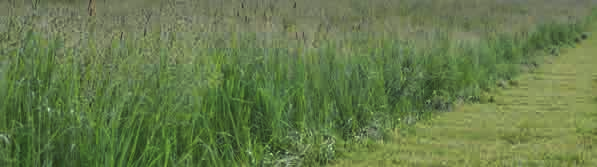 GRASS-MANAGER-PRO GRASS-MANAGER-PRO A PRO sorozathoz frontfüggesztő bak is rendelkezésre áll.