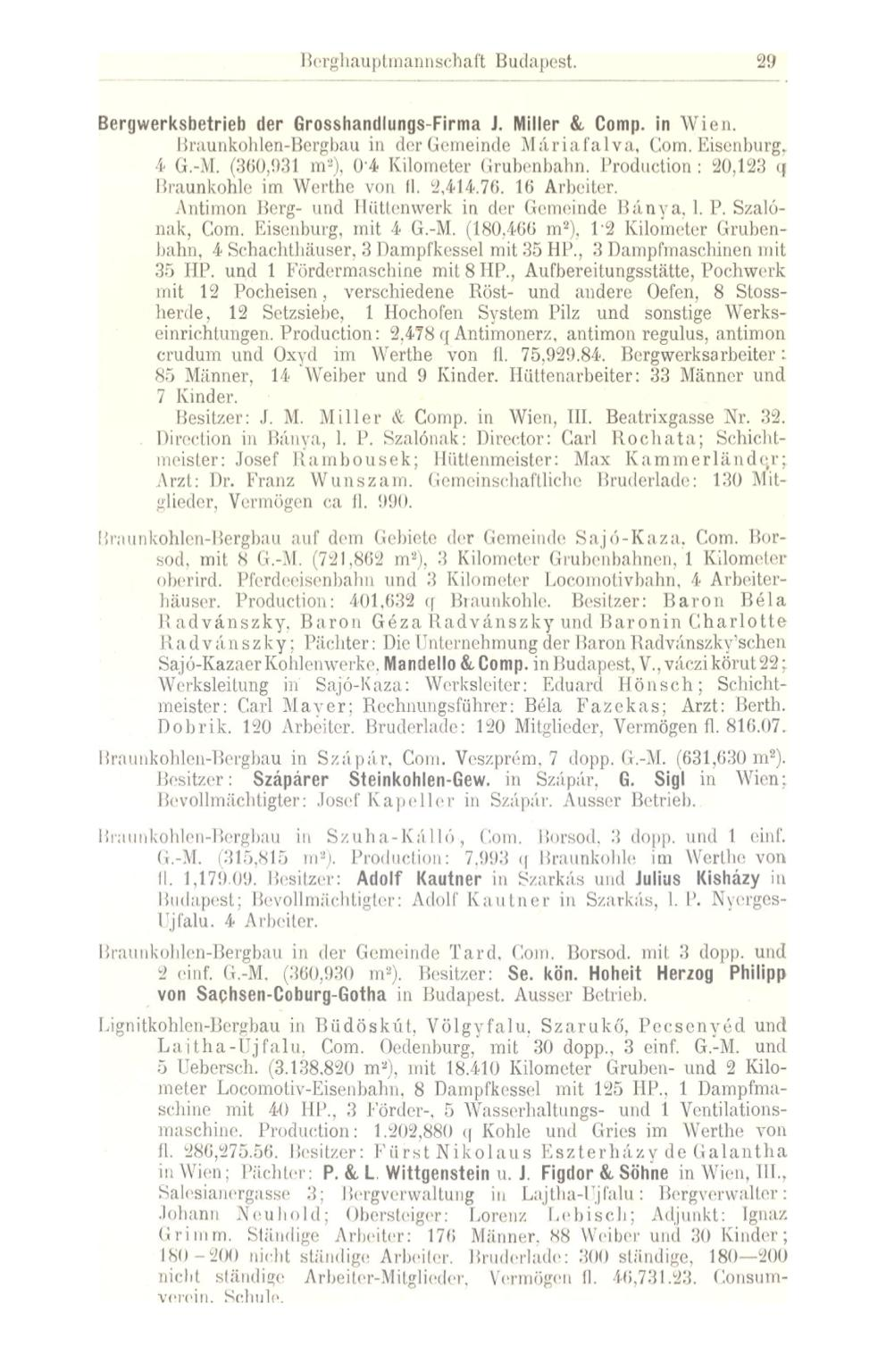 Borghauptmannschaft Budapest. 29 Bergwerksbetrieb der Grosshandlungs-Firma J. Miller & Comp, in Wien. Braunkohlen-Bergbau in der Gemeinde Máriafalva, Com. Eisenburg, 4 G.-M.