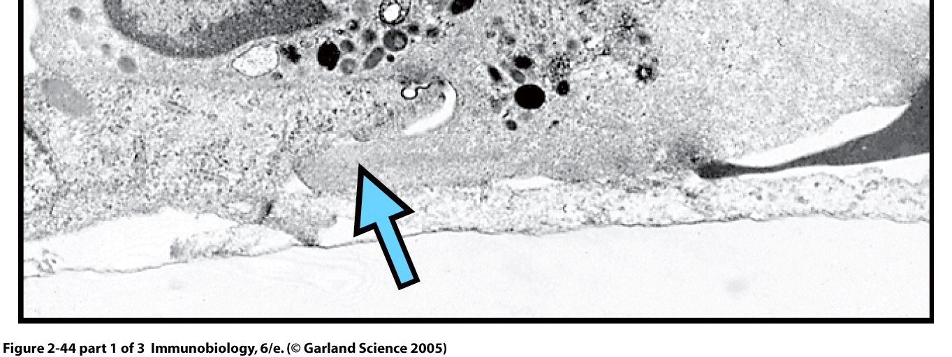 Figure 2-44