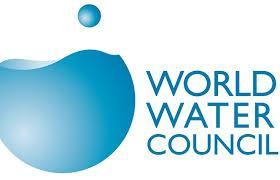 Víz Világtanács (World Water Council) Az 1996-ban létrehozott Víz-világtanácsnak (WWC) mintegy 300 intézmény a tagja, köztük vannak kormányok, nemzetközi ügynökségek, az üzleti szektor