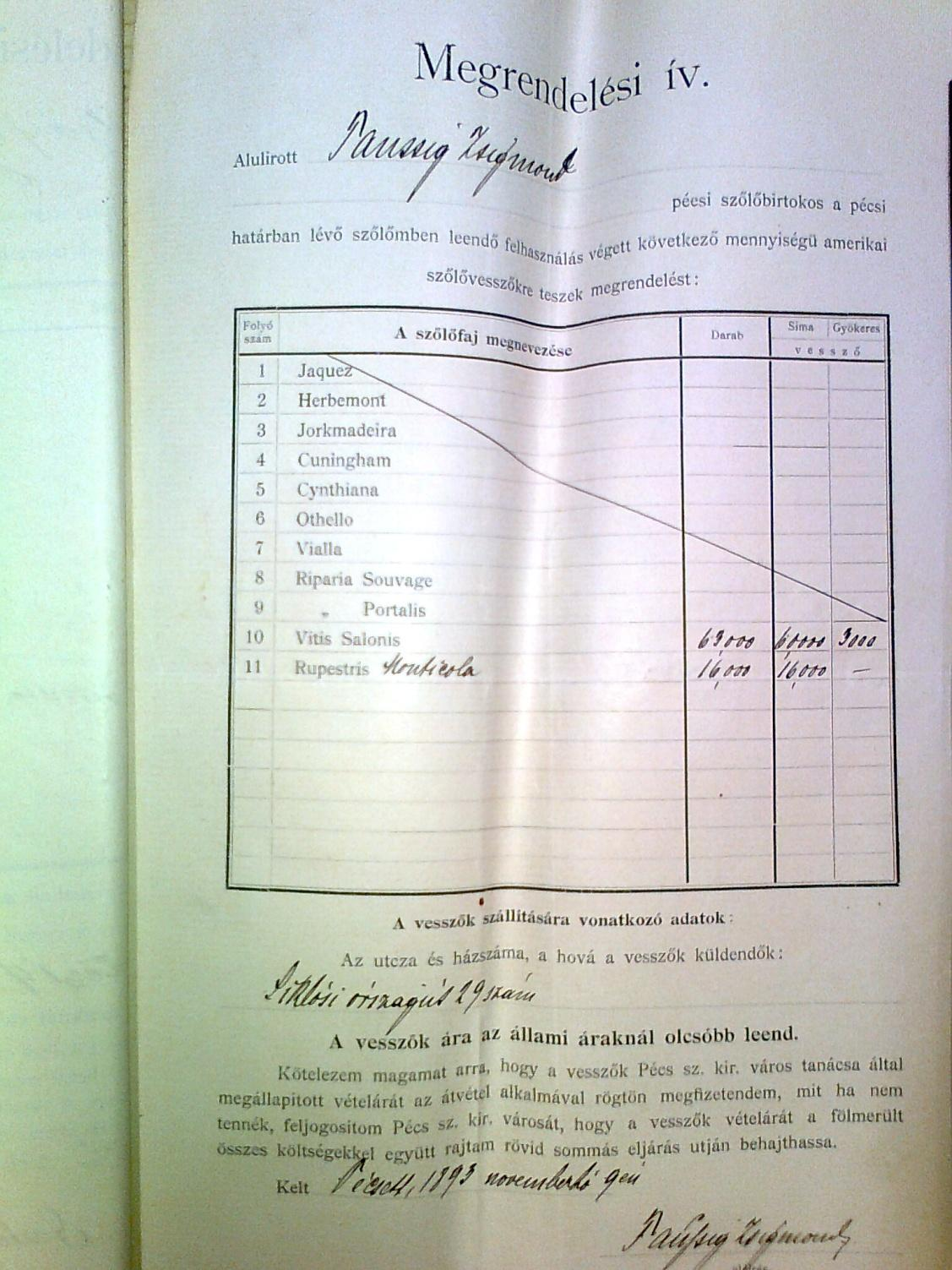 6. ábra Tauszig (Teleki) Zsigmond vessző megrendelése 1893-ban Az első megjelenése a Vitis berlandieri anyagnak