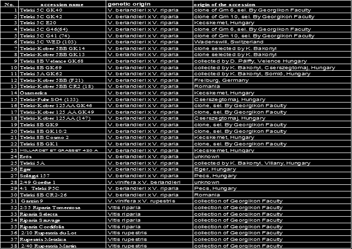 5. A Georgikon Kar szőlőalany fajtagyűjteményének jellemzése SSR markerekkel Vizsgálatainkhoz 38 alanyt választottunk ki a Georgikon faj és fajtagyűjteményéből (2. táblázat). 2.