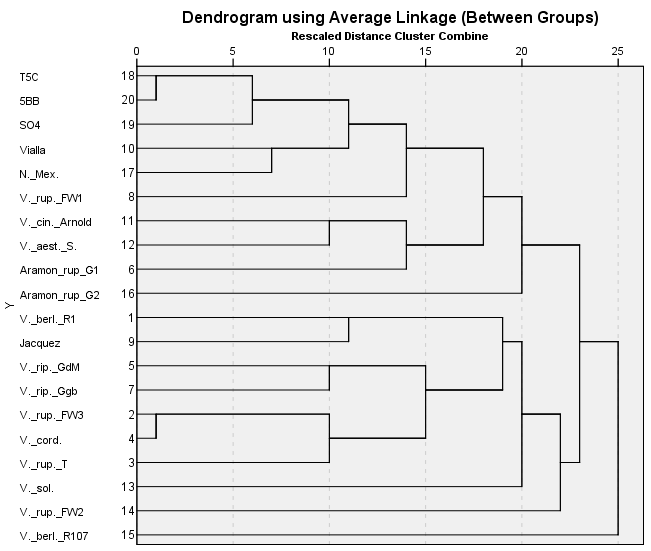 13. ábra: Dendogram