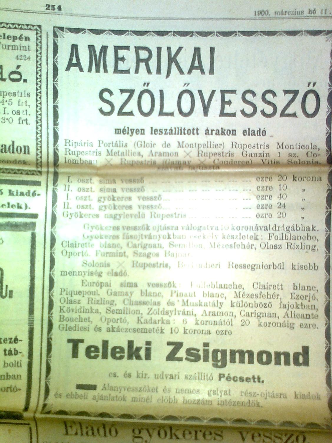 1. ábra Teleki Zsigmond szőlővessző hirdetése a Borászati Lapok 1900. március 11-i számában, ahol jelzi, hogy Berlandieri Resseguierből kisebb mennyiség eladó 4.2.