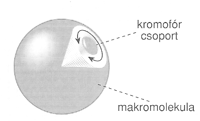 bolyonghat egy szögtartományon belül, amely a félszög (Θ) kúppalástján belüli területre esik (18. ábra). 18.