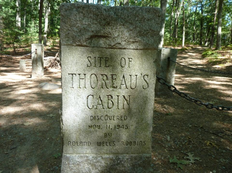 A növényvilág védelmének előzményei Henry Thoreau a természet és a mértékletesség szószólója Walden c.