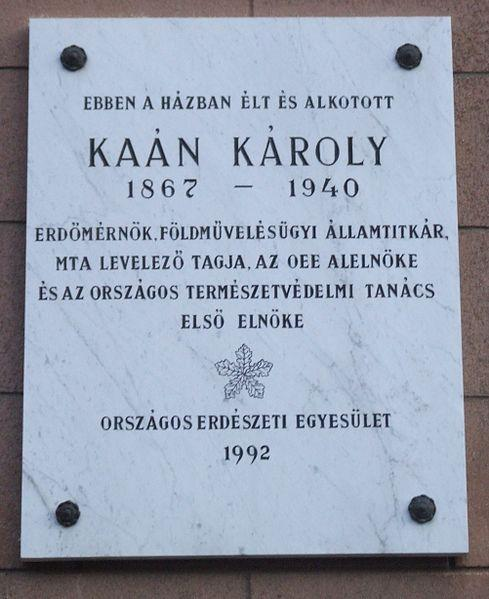A természetvédelem története Magyarországon 1909 Kaán Károly erdőmérnök A természeti emlékek