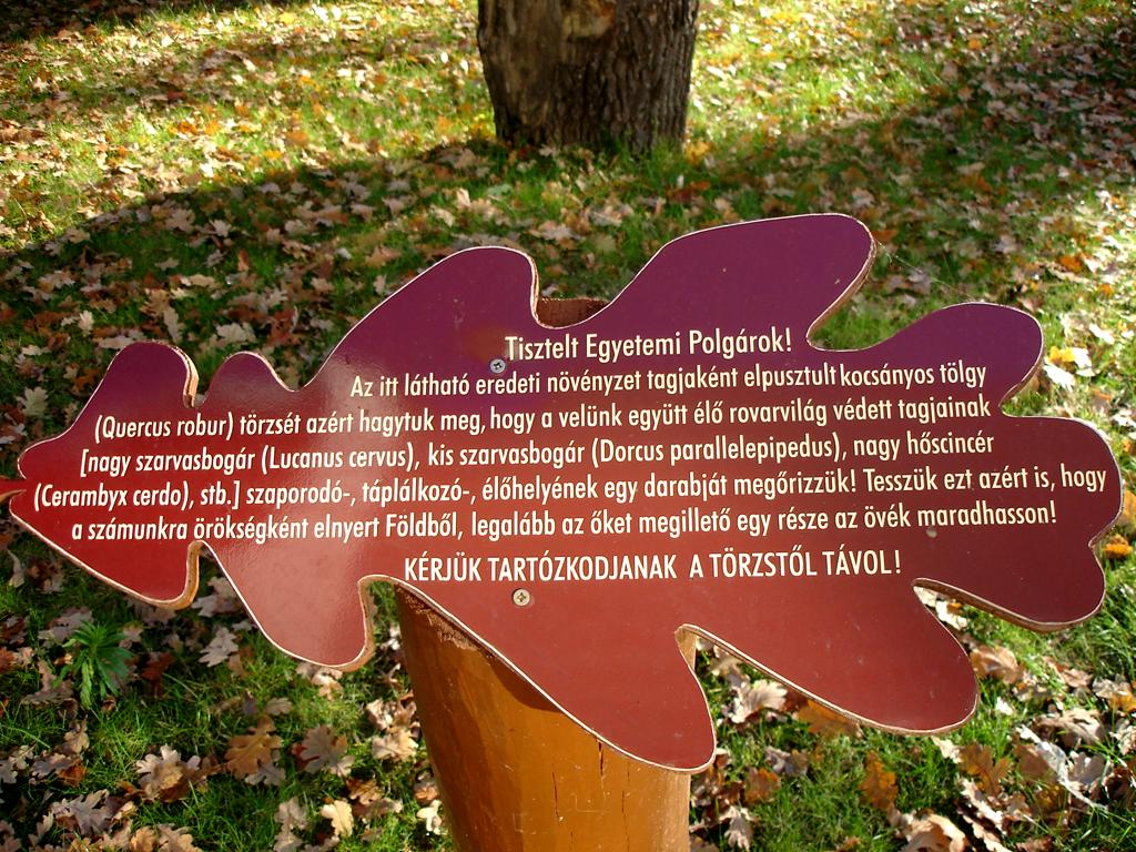 Természetvédelem a