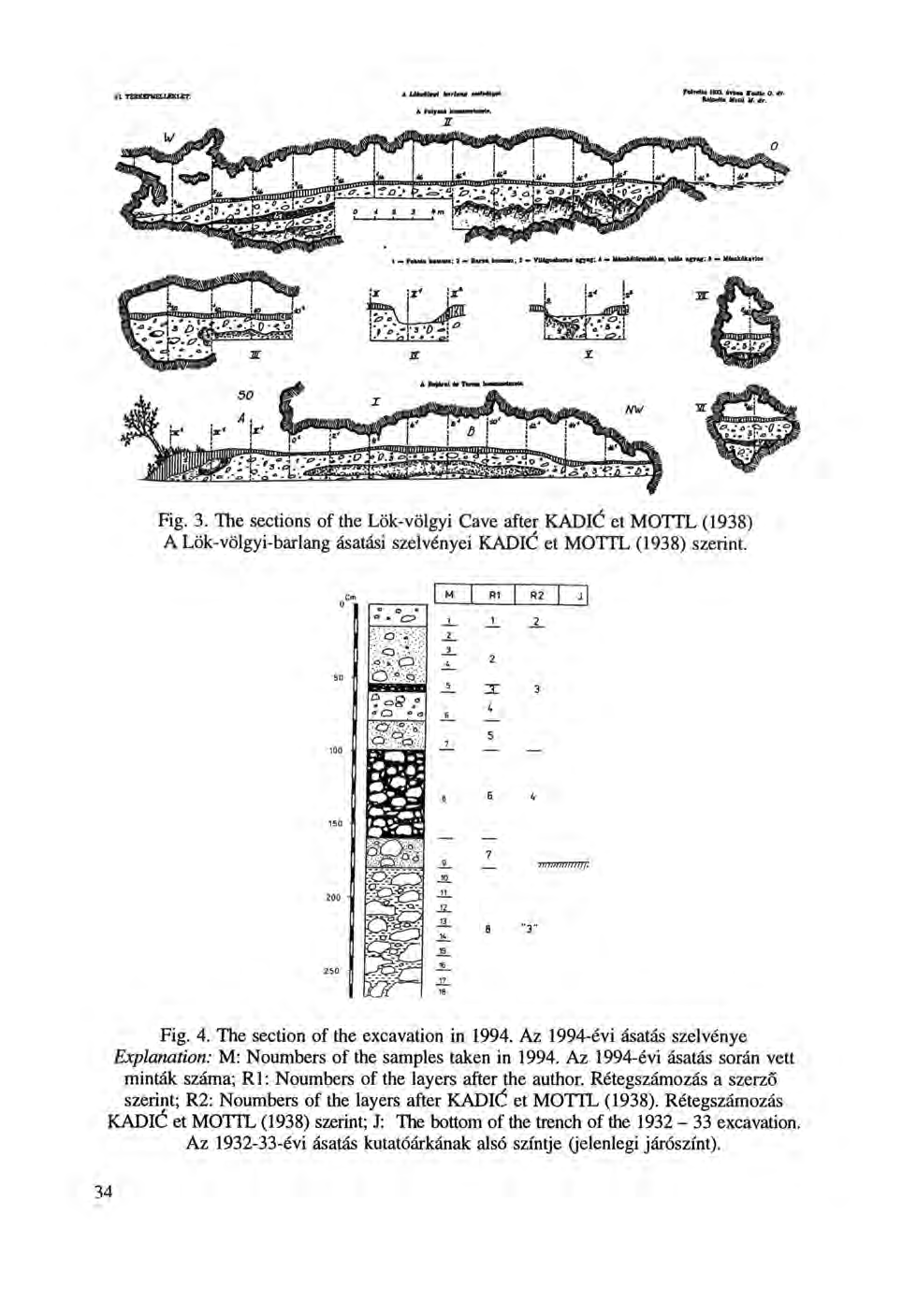 Fig. 3. The sections of the Lök-völgyi Cave after KADIC et MOTTL (1938) A Lök-völgyi-barlang ásatási szelvényei KADIC et MOTTL (1938) szerint. Fig. 4. The section of the excavation in 1994.
