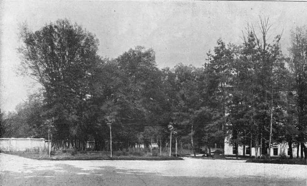 A Felsőbb