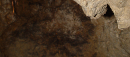 Jelentés a Vértes-hegység Fejér megyei területén nyíló barlangok 2014.