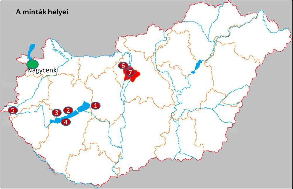 Összesen: 28db minta Ebből: 21db Nagycenkről Ezen
