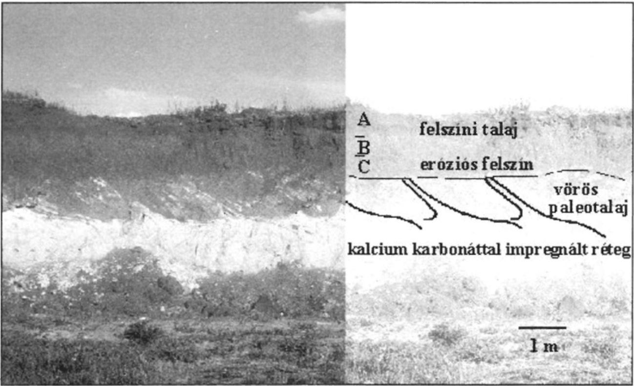 48 Földtani Közlöny 132/különszám 4. ábra.