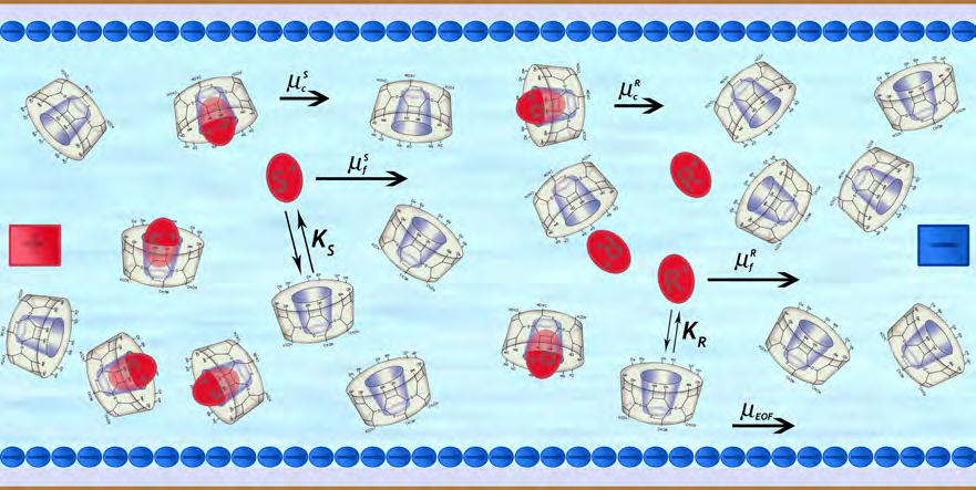 IRODALMI ÁTTEKINTÉS µ = ( µ )( )[C] f µ K 2 c K 1 1 + ( K 1 + K 2 )[C] + K 1 K 2 [C ] 2 (14) Ilyenkor a rendszer sztereoszelektivitását (α) az egyensúlyi állandók aránya adja: α = t t 2 1 1 = µ µ 2