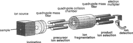 Triple-quadrupole MS felépítése lágy ionizáció Q1 Q2 (CID) Q3 collision