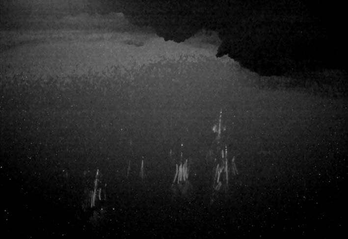 7. E. R. Williams: Sprites, elves and glow discharge tubes. Physics Today 54/11 (21) 41 47. 8. J. A. Valdivia, G. Milikh, K. Papadopoulos: Red sprites: Lightning as a fractal antenna.