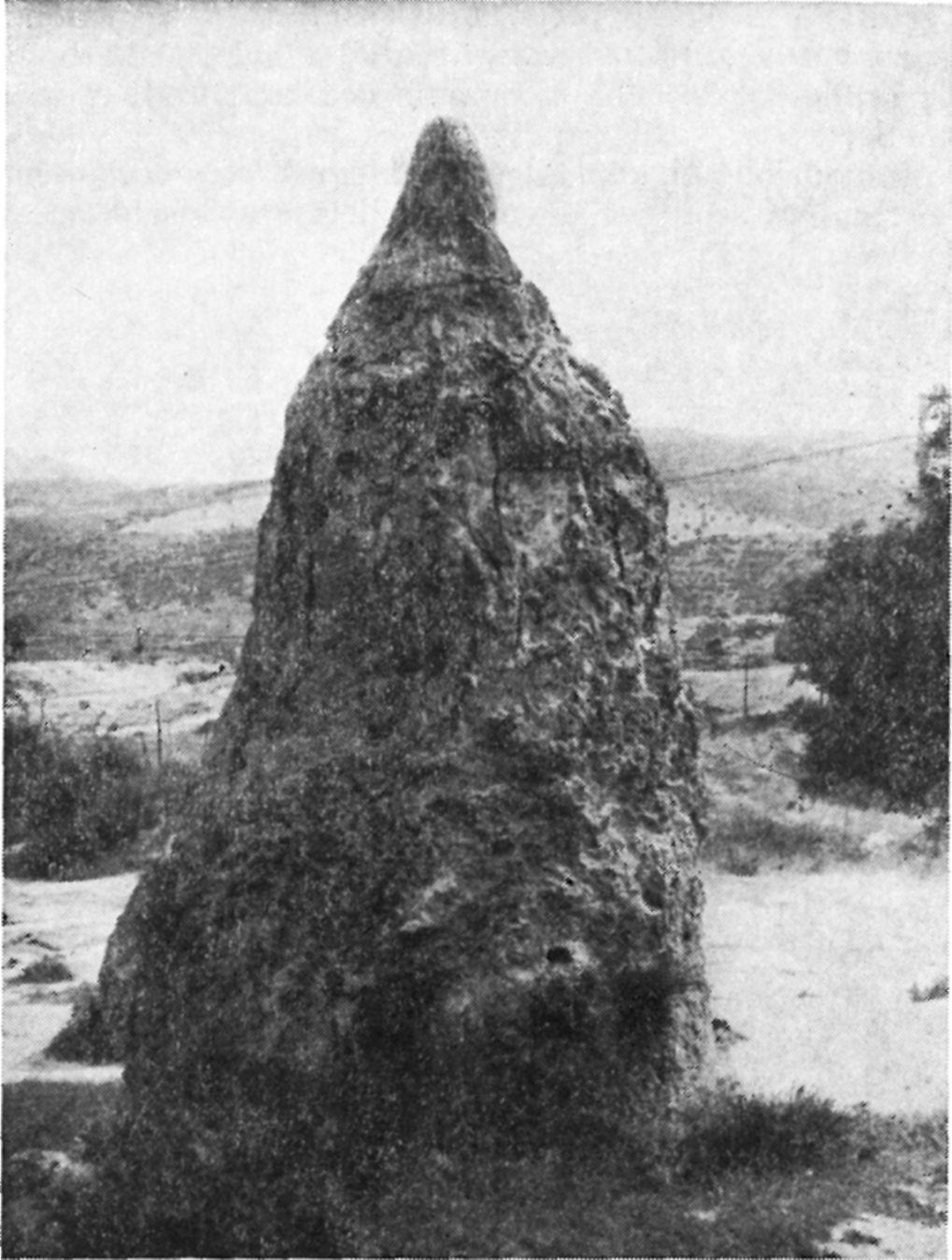 Scheuer Schweitzer: Édesvízi mészkôkupok 389 i. ábra. Kis alapterületű, meredek oldalú édesvízi mészkökúp. Hommam Meskoutine, Algéria Fig. 4.