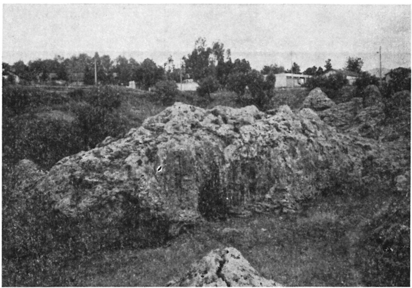 390 Földtani Közlöny 115. kötet, 4. füzet 5. ábra. Édesvízi mészkőgerinc, amelyet kb. 20 m hosszú repedésből feltörő hévíz hozott létre, és a tetején kis kúpok képződtek.